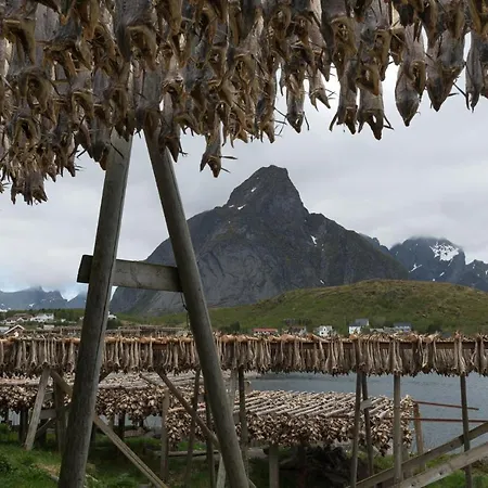 Reinebringen Ferienhaus *