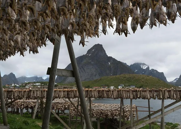 Reinebringen 度假居 *